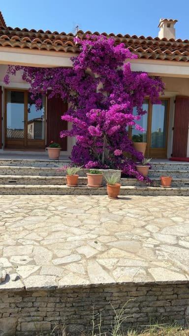 Villa Avec Jardin Au Calme A 7 Min De Cassis 罗科福尔拉贝杜勒 外观 照片